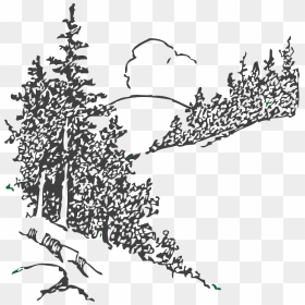 Black And White Pine Trees Clipart, HD Png Download - tall pine tree png