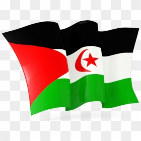 Download Flag Icon Of Western Sahara At Png Format - Isle Of Man Flag Waving, Transparent Png - grunge vector png