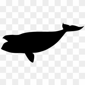 North Pacific Right Whale Black Silhouette - Pacific Black Whale, HD Png Download - whale.png