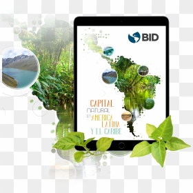 Tablet Computer, HD Png Download - latina png