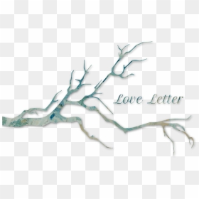 Bird Tree Branch Silhouette, HD Png Download - love letter png