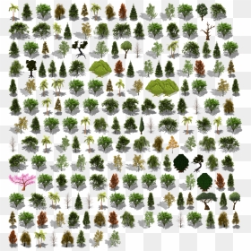Preview - Pixel Art Tree Pack, HD Png Download - tall pine tree png