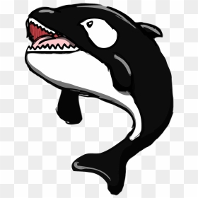 Draw Easy Killer Whale Mouth Open, HD Png Download - whale.png