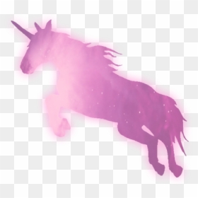 Transparent And Unicorn Image - Licorne Roblox Adopt Me, HD Png Download - unicorn png tumblr