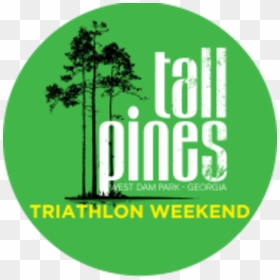 Tall Pines Triathlon Weekend - Tree, HD Png Download - tall pine tree png