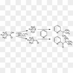File - Minisci-mech - Reaction Between Methylamine And Propanoic Acid, HD Png Download - mech png