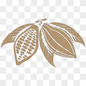 Free Cocoa Bean Png, Transparent Png - cocoa png