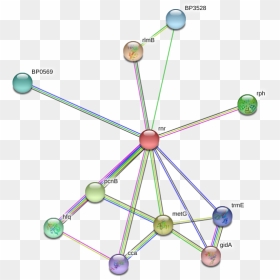 Rnr Protein - Circle, HD Png Download - timb png