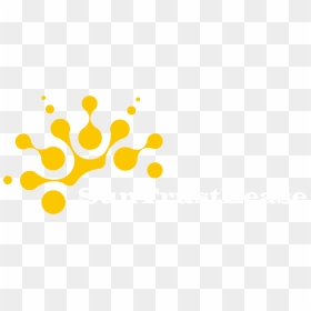 Picture - Graphic Design, HD Png Download - suntrust logo png