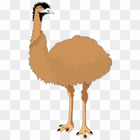 Emu Png Icons - Emu Clip Art, Transparent Png - emu png