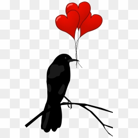 Hummingbird Clipart Heart 6 - Happy Valentines Day Raven, HD Png Download - love letter png