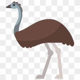 Emu Vector , Png Download - Emu Cartoon Australian Animals, Transparent Png - emu png