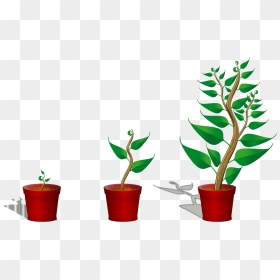 Growing Trees Clip Art, Icon And Svg - Getting To Know Plants, HD Png Download - plant icon png