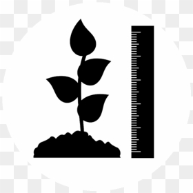 Plant Height Icon, HD Png Download - plant icon png