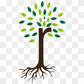 Free Plant Roots Png - Tree With Roots Icon, Transparent Png - plant icon png