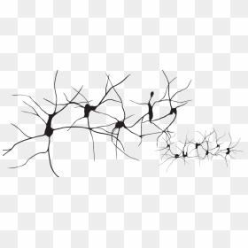 Thumb Image - Neurons Png, Transparent Png - neurons png