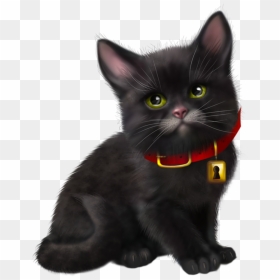 Magic Cat, Gifs, Cat Art, Tube, Cute Cats, Dog Cat, - Transparente En Png Tube Black Cat Art, Png Download - cat gif png
