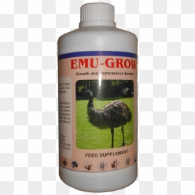 Emu , Png Download, Transparent Png - emu png