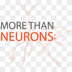 Transparent Neurons Png - Graphic Design, Png Download - neurons png