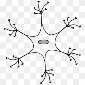 Relay Neurone, HD Png Download - neurons png
