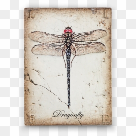 Transparent Dragonfly Wings Png - Sid Dickens Dragonfly, Png Download - dragonfly wings png