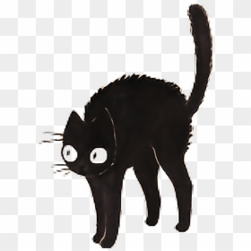 #cat #cats #black #blackcat #dark #tumblr #sticker - Transparent Black Cat Sticker, HD Png Download - tumblr cat png