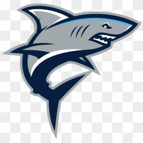 Colgan High School Shark, HD Png Download - vhv