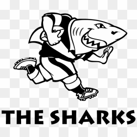 Sharks Logo - Sharks Rugby Logo, HD Png Download - sharks logo png