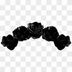 #blackflowercrown #flowercrown #flowers #crown #black - Black Flower Crown Png, Transparent Png - black flower crown png