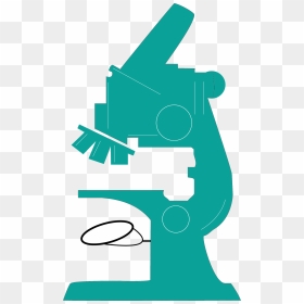 Clip Art Green Transprent - Microscopio Dibujo Verde Png, Transparent Png - microscope icon png