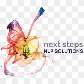 Next Please, HD Png Download - next steps png
