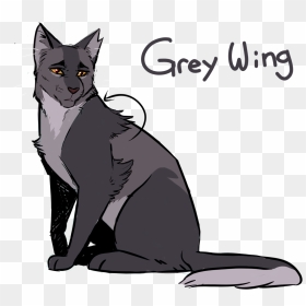 Image - Gray Wing Warriors, HD Png Download - tumblr cat png