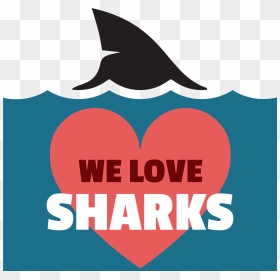 Sharks Logo Png , Png Download - Marine Mammal, Transparent Png - sharks logo png