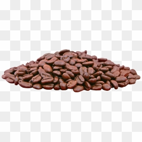 Cocoa Bean Clipart Transparent - Cocoa Beans In Transparent, HD Png Download - cocoa png