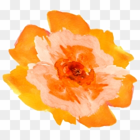Transparent Floral Watercolor Png - Orange Watercolor Flower Png, Png Download - yellow watercolor png
