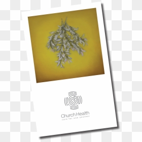 Paper, HD Png Download - testing png