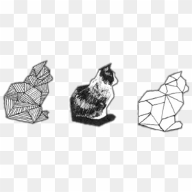 Cat Drawing Aesthetic - Aesthetic Cat Drawing Black And White, HD Png Download - tumblr cat png