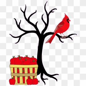 Transparent Cardinal On Branch Clipart - Black And White Tree Clipart, HD Png Download - tree no leaves png