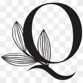 Illustration, HD Png Download - q and a png