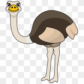 Free Collection Download And - Ostrich Clipart, HD Png Download - emu png