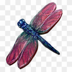 Pink Wings Blue Body Dragonfly, HD Png Download - dragonfly wings png