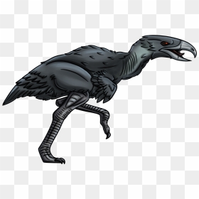 Illustration, HD Png Download - emu png