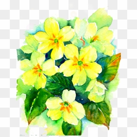 Transparent Yellow Watercolor Png - Transparent Green Watercolor Flowers, Png Download - yellow watercolor png
