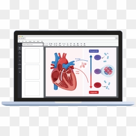 Illustration, HD Png Download - microscope icon png