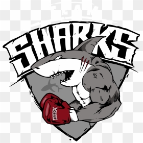Sharks Boxing Logo , Png Download - Sharks With Boxing Gloves, Transparent Png - sharks logo png