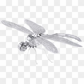 Metal Earth Bugs - Metal Earth 3d Models Dragonfly, HD Png Download - dragonfly wings png