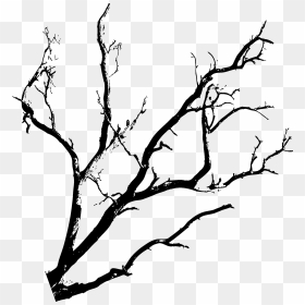 Red Black Tree Halloween - Bat In Tree Drawing, HD Png Download - red tree png