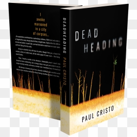Deadheading 3d Transparent - Book Cover, HD Png Download - cristo png