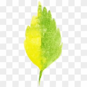 Macro Photography, HD Png Download - yellow watercolor png