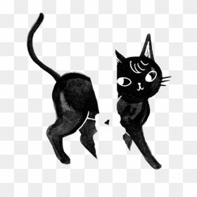 Tumblr Cat Png, Transparent Png - tumblr cat png